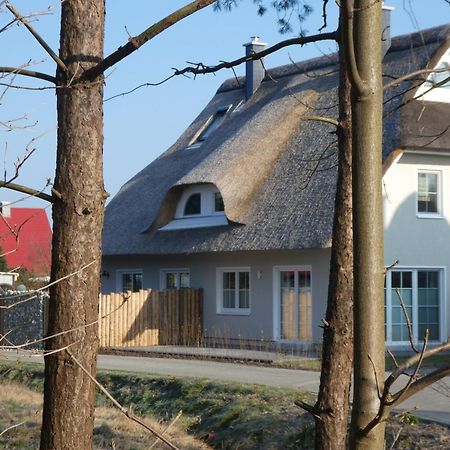 Kleine Seenixe Zingst Bagian luar foto