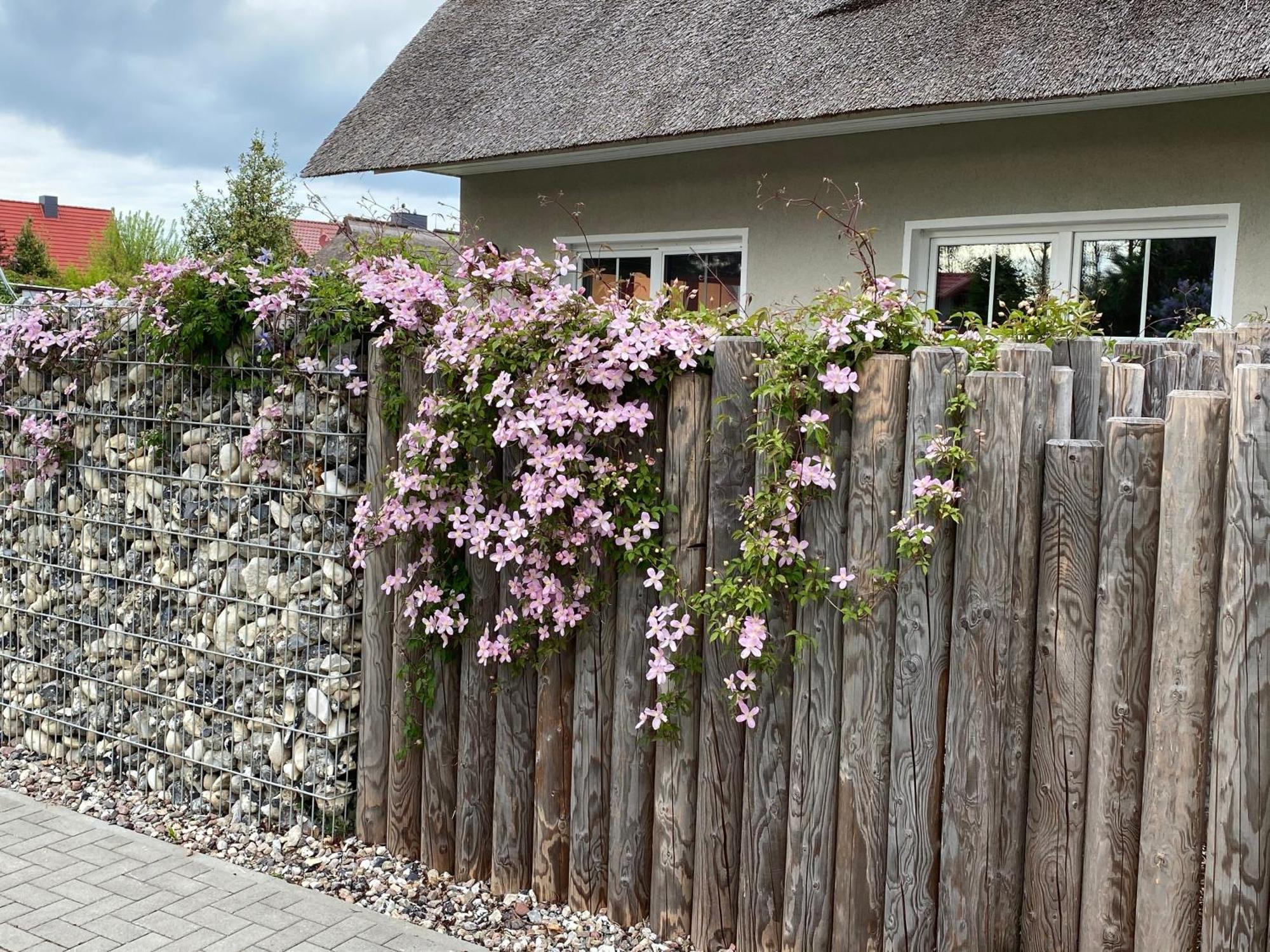 Kleine Seenixe Zingst Bagian luar foto